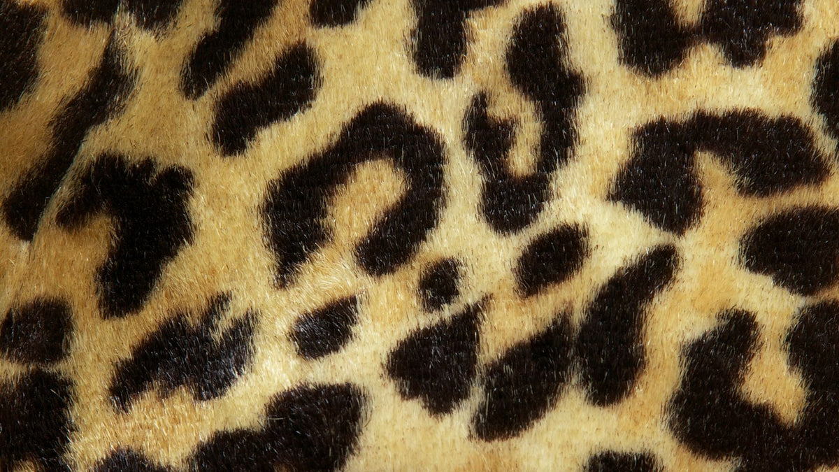 PREY