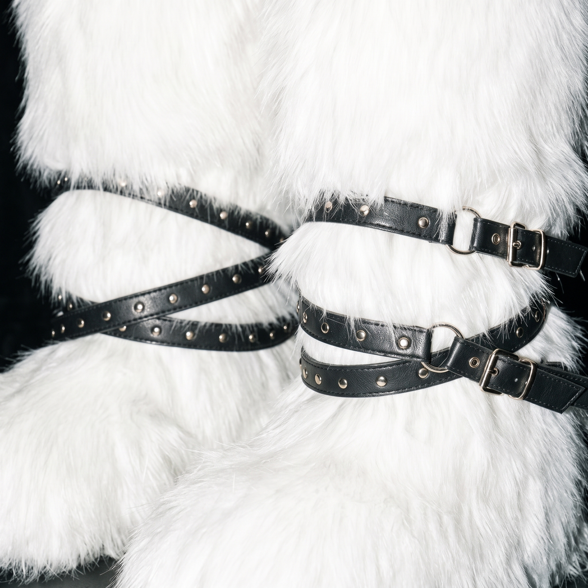 ARCTIC FANG